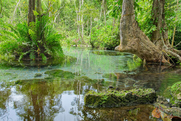 Fototapeta na wymiar Ban Nam Rad Forested watersheds in Surat Thani, Thailand.