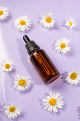 Cosmetic bottle with pipette and water drops on pastel purple viloet  background with chamomile flowers. Concept of natural moisturizing cosmetics for skin care, herbal, organic, flyer