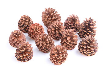 Pine cones isolated on white background