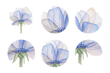Round watercolor stickers set. Elegant watercolor flower on a long stem. Pink and blue flower with transparent petals