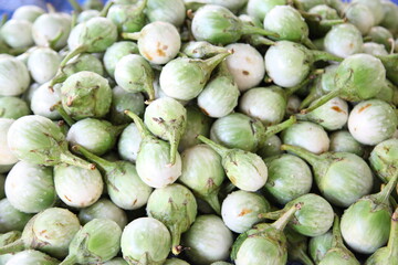 Organic green eggplant in market