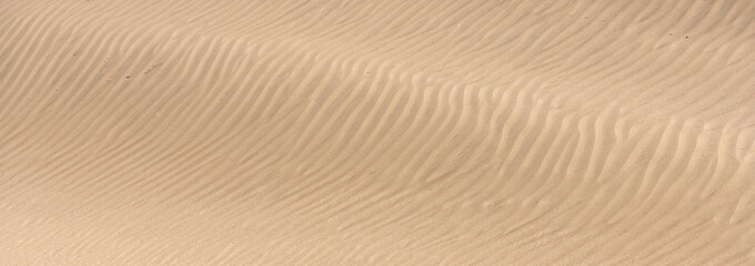 Namibia, grains of sand on the dunes, texture,  background
