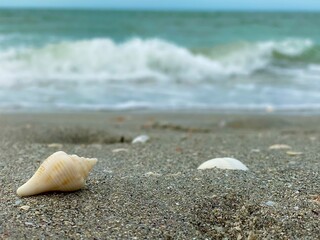 Waves on the beach 