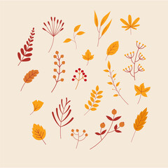 Fototapeta premium Set Of Autumn Leaves