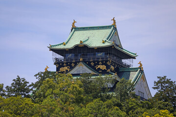 Fototapeta premium 大阪城 天守閣