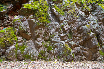 conceptual image green moss on stone
