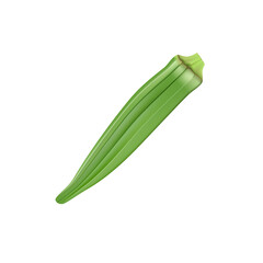 fresh okra isolated on a white background