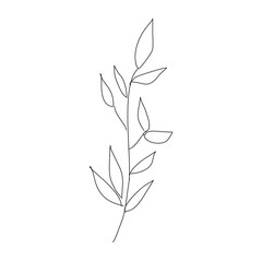 black and white leaves