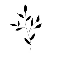 black and white leaves
