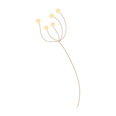 flower isolated on transparent  background