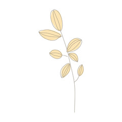 flower isolated on transparent 