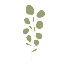 Fototapeta premium green leaves isolated on transparent background