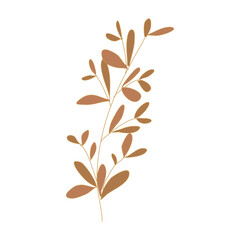 illustration of a plant