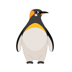 Vector illustration of cartoon cute penguin isolated on white background. 