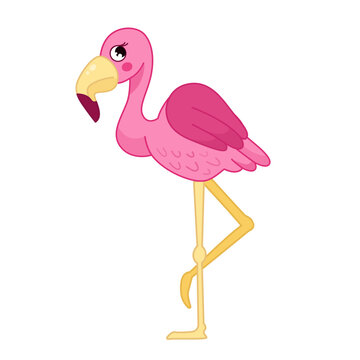Vector illustration of cartoon cute flamingos isolated on white background. 