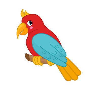 Vector illustration of cartoon cute parrot isolated on white background. 