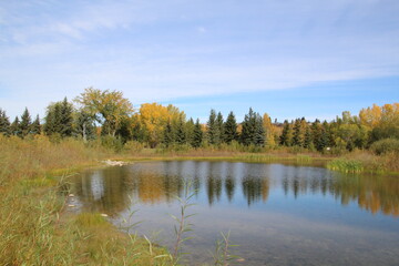 Fall Colors On The Lake, Gold Bar Park, Edmonton, Alberta