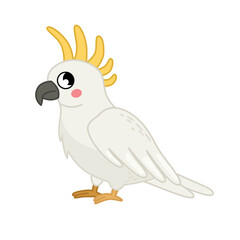 Vector  illustration of cartoon cute cockatoo isolated on white background.