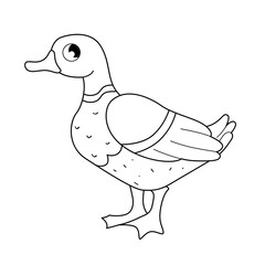 Vector outline illustration of cartoon cute duck isolated on white background. 