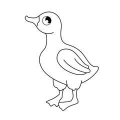 Vector outline illustration of cartoon cute duck isolated on white background. 