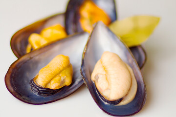 Cooked mussels. macro shot. selective focus.
