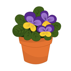 Vector cartoon illustration of a violet in a pot on a white background.
