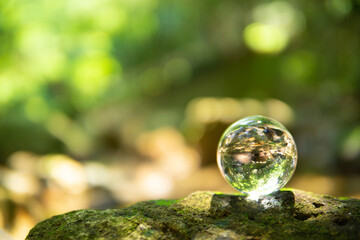 森林と水晶玉