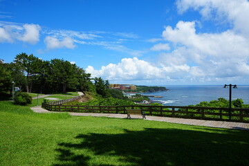 walkway and bench at the seaside cliff