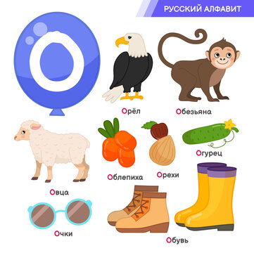 Vector education material Russian Alphabet letter O. Set of cute cartoon illustrations. Inscriptions in Russian: Russian alphabet, eagle, monkey, sheep, sea buckthorn, nuts, cucumber, glasses, shoes.
