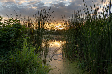 Abendstimmung in der Oberlausitzer Heide- und Teichlandschaft, Teichgebiet Milkel