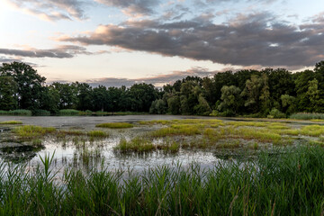 Abendstimmung in der Oberlausitzer Heide- und Teichlandschaft, Teichgebiet Milkel