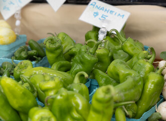 Obraz na płótnie Canvas Locally grown anaheim bell peppers for sale at a local farmers market