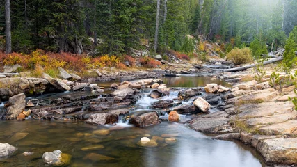 Fototapete Wald Fluss Running water at Provo river basin in Utah during autumn time  © SNEHIT PHOTO