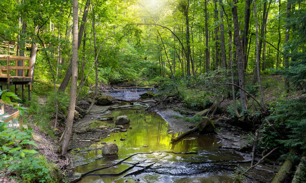 Scenic landscape of Tinkers creek in Ohio, backlit forest.