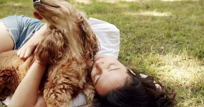 Woman playing with her dog. hugs, kiss and pose nicely. Human animal friendship. English cocker spaniel rests outdoors. young pretty animal. Happy woman hugs and have fun with cocker spaniel dog.