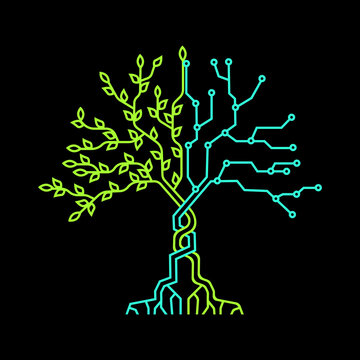 Digital and real tree.  Abstract technology tree.  