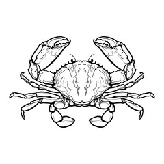 crab on white
