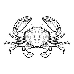 crab on white