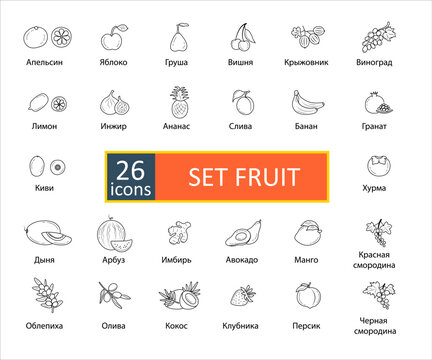Fruit icon set. Signature in Russian 26 icons set of fruits. Simple concise images of fruit with names in Russian. Collection of icons in outlines. Vegetarianism. Vector, eps