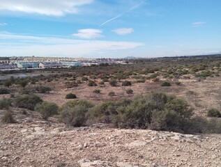 Reversing desertification by planting native shrubs on abandoned farmland. Effects and impact of climate change and global warming in El Clot de Galvany, Spain