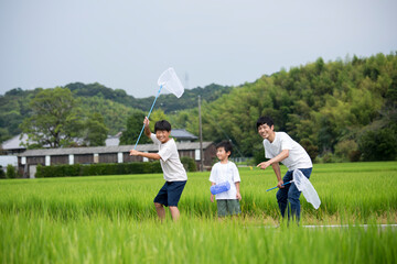 夏休み　帰省先の田舎で昆虫採取する親子　田んぼのあぜ道で撮影　トンボ採り © kazoka303030