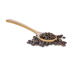 Coffee beans and coffee beans in spoon isolated on transparent background. (.PNG)