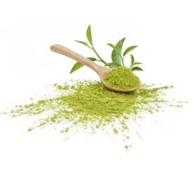Green matcha powder in a spoon with tea leaves isolated on transparent background. (.PNG)