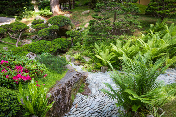 Japanese garden in summer