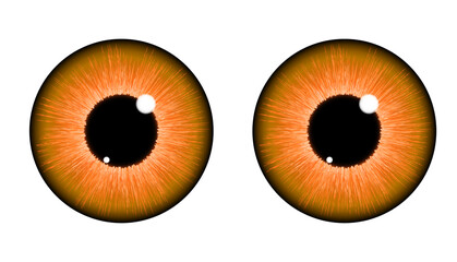eye iris for comic, cartoon and others. You can change the color with recolor artwork