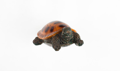 toy turtle isolated on white background