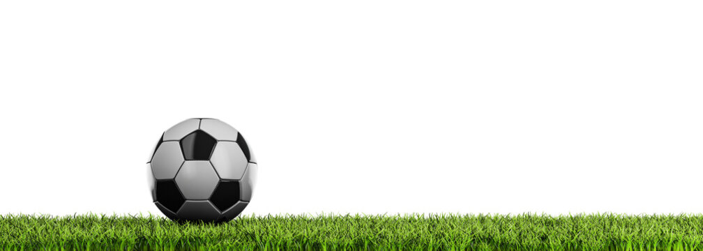 Ball on the grass - transparent background in PNG format - panoramic view with free space for text