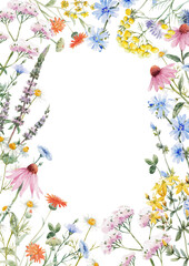 Naklejka na ściany i meble Beautiful floral frame with watercolor hand drawn summer wild field flowers. Stock illustration. Clip art.