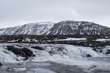 Foraging - Hvalfjörður