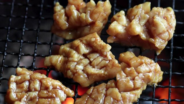 網の上で焼かれる味付けされた牛ミノ。炭火の強火力で加熱され、表面がこんがりと焼き上がりながら煙が上がる様子を至近距離で捉えたクローズアップ映像。飲食店メニュー、焼肉店、肉料理の紹介、スタミナ料理をテーマにした広告や映像素材に。 | Close-up of seasoned beef tripe being grilled on a charcoal brazier.